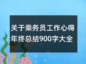 关于乘务员工作心得年终总结900字大全
