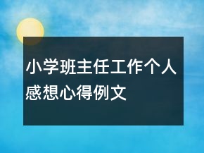 小学班主任工作个人感想心得例文