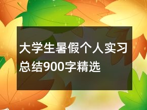 大学生暑假个人实习总结900字精选
