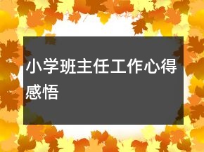 小学班主任工作心得感悟