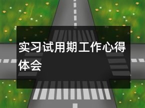 实习试用期工作心得体会