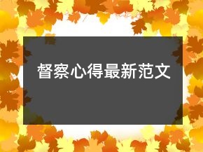 督察心得最新范文