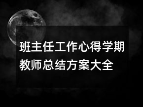 班主任工作心得学期教师总结方案大全