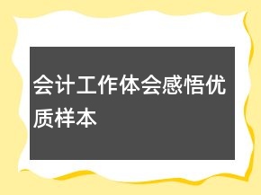 会计工作体会感悟优质样本