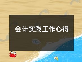 会计实践工作心得