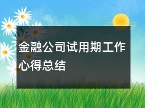 金融公司试用期工作心得总结