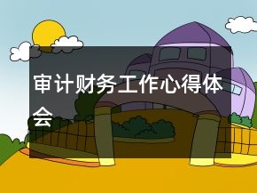 审计财务工作心得体会