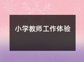 小学教师工作体验