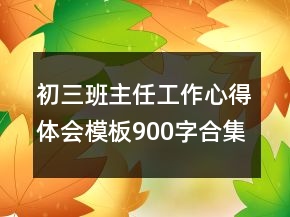 初三班主任工作心得体会模板900字合集