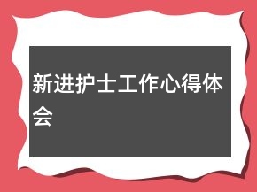 新进护士工作心得体会