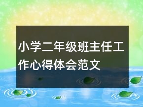 小学二年级班主任工作心得体会范文
