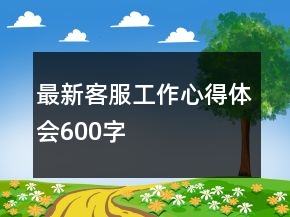 最新客服工作心得体会600字