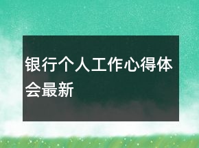 银行个人工作心得体会最新