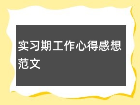 实习期工作心得感想范文