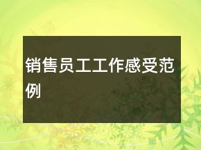 销售员工工作感受范例
