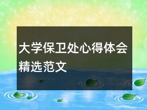大学保卫处心得体会精选范文