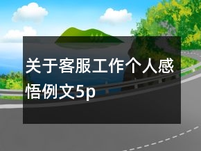关于客服工作个人感悟例文5p