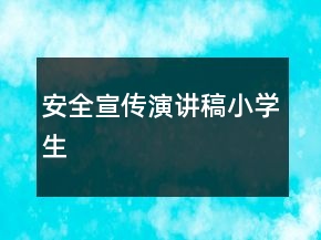 安全宣传演讲稿小学生