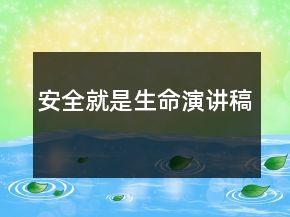 安全就是生命演讲稿