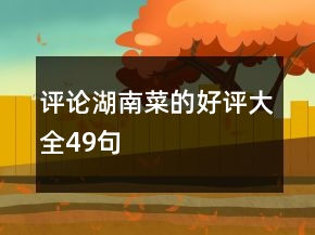 评论湖南菜的好评大全49句