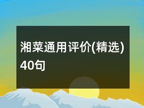 湘菜通用评价(精选)40句