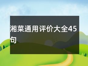 湘菜通用评价大全45句