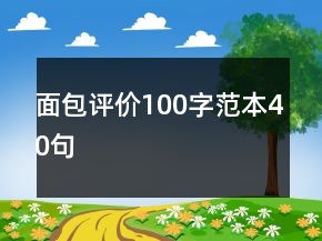 面包评价100字范本40句