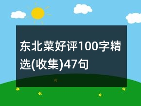 东北菜好评100字精选(收集)47句