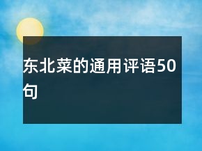 东北菜的通用评语50句