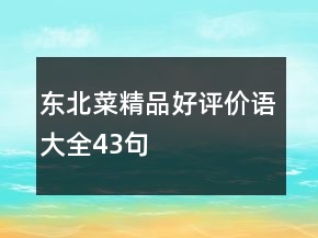 东北菜精品好评价语大全43句