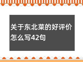 关于东北菜的好评价怎么写42句