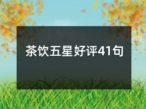 茶饮五星好评41句