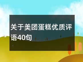 关于美团蛋糕优质评语40句