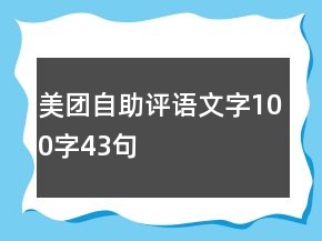 美团自助评语文字100字43句