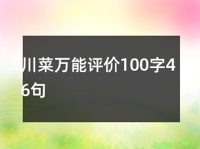 川菜万能评价100字46句