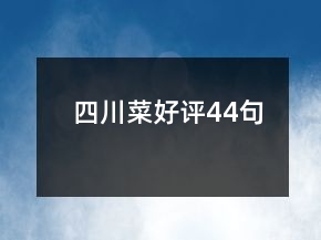 四川菜好评44句