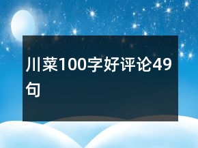 川菜100字好评论49句