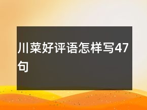 川菜好评语怎样写47句