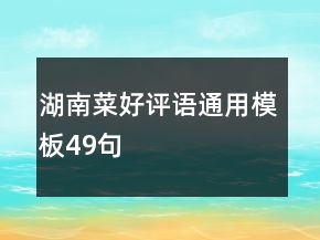 湖南菜好评语通用模板49句