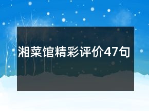 湘菜馆精彩评价47句