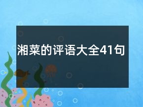 湘菜的评语大全41句