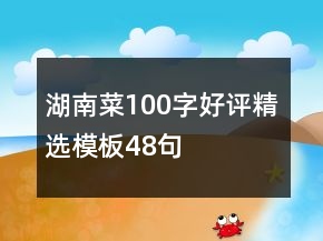 湖南菜100字好评精选模板48句