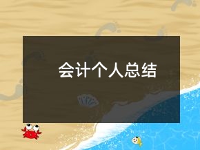 会计个人总结