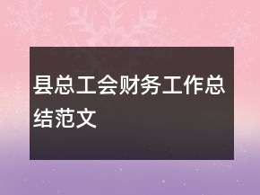 县总工会财务工作总结范文