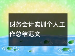 财务会计实训个人工作总结范文