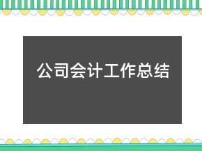 公司会计工作总结
