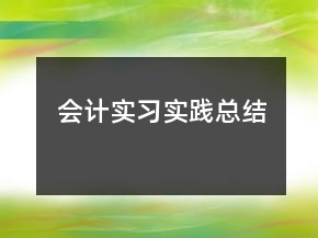 会计实习实践总结
