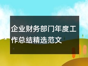 企业财务部门年度工作总结精选范文