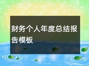 财务个人年度总结报告模板