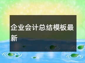 企业会计总结模板最新